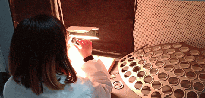 A lente acromática redonda da parelha, parelhas do vidro ótico cimentou lentes